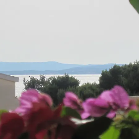 Violet アパート *