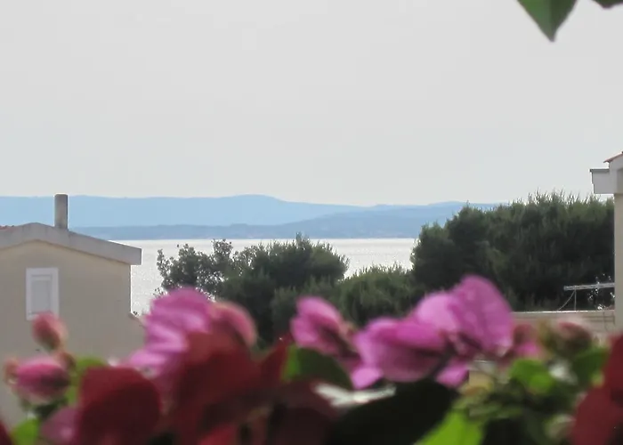 Violet アパート *